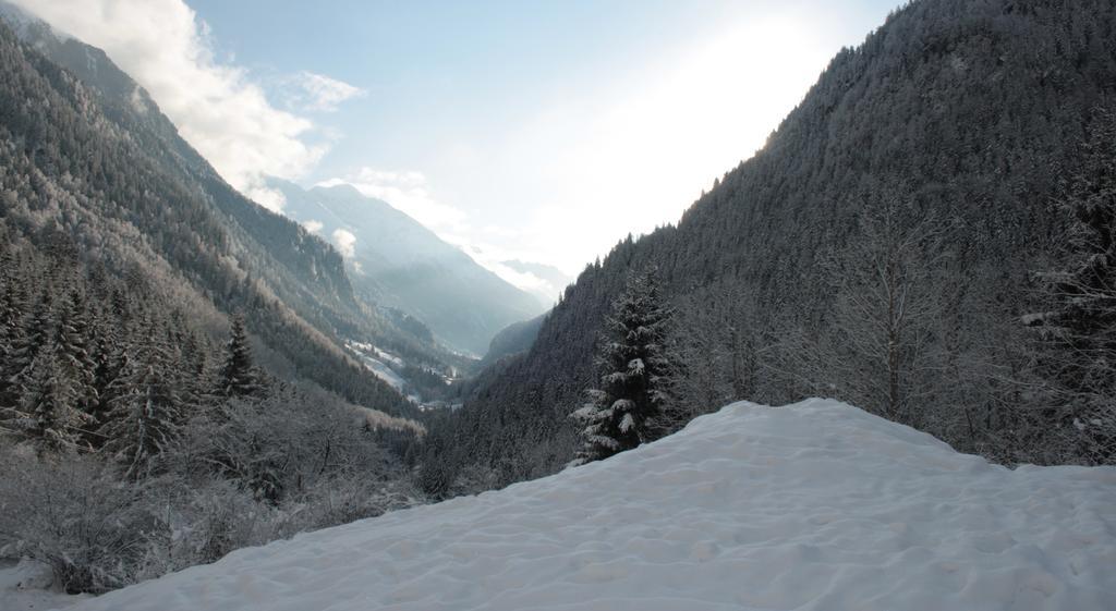 Apartments Haus Schoen - Preise Inclusive Pitztal Sommer Card Jerzens Bagian luar foto