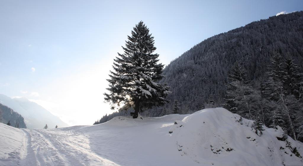Apartments Haus Schoen - Preise Inclusive Pitztal Sommer Card Jerzens Bagian luar foto