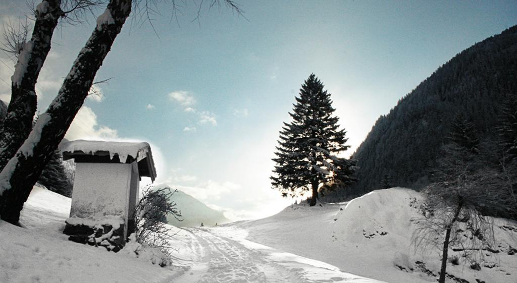 Apartments Haus Schoen - Preise Inclusive Pitztal Sommer Card Jerzens Bagian luar foto